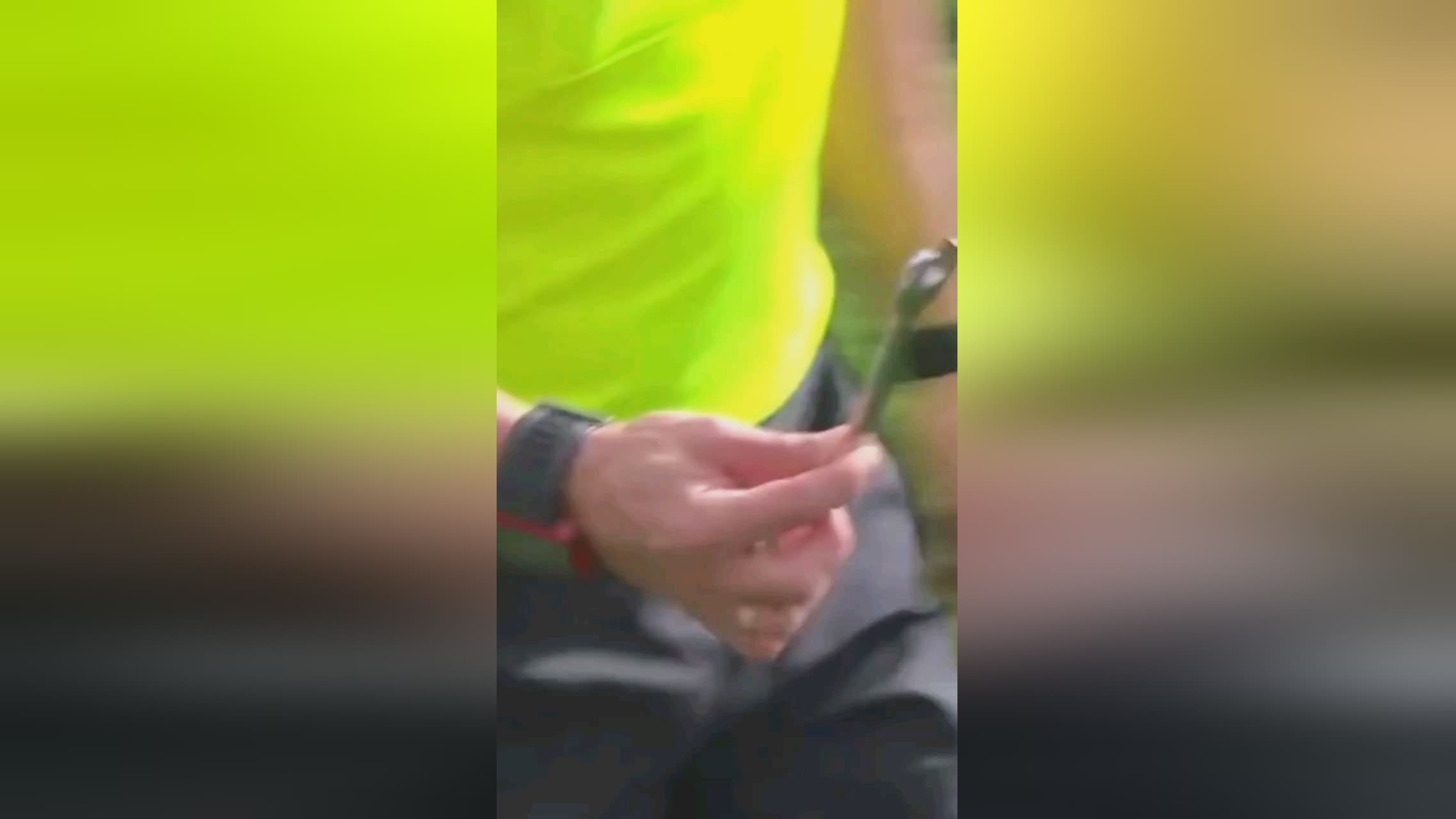 球迷开始重